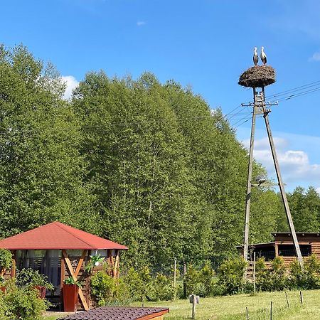Vila Agro Na Wapniarni Biala  Exteriér fotografie