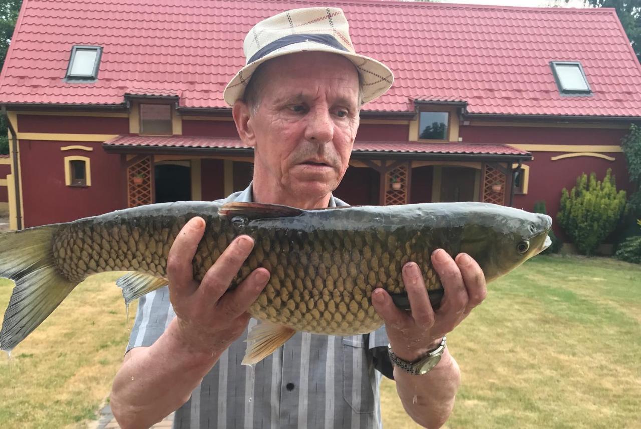 Vila Agro Na Wapniarni Biala  Exteriér fotografie
