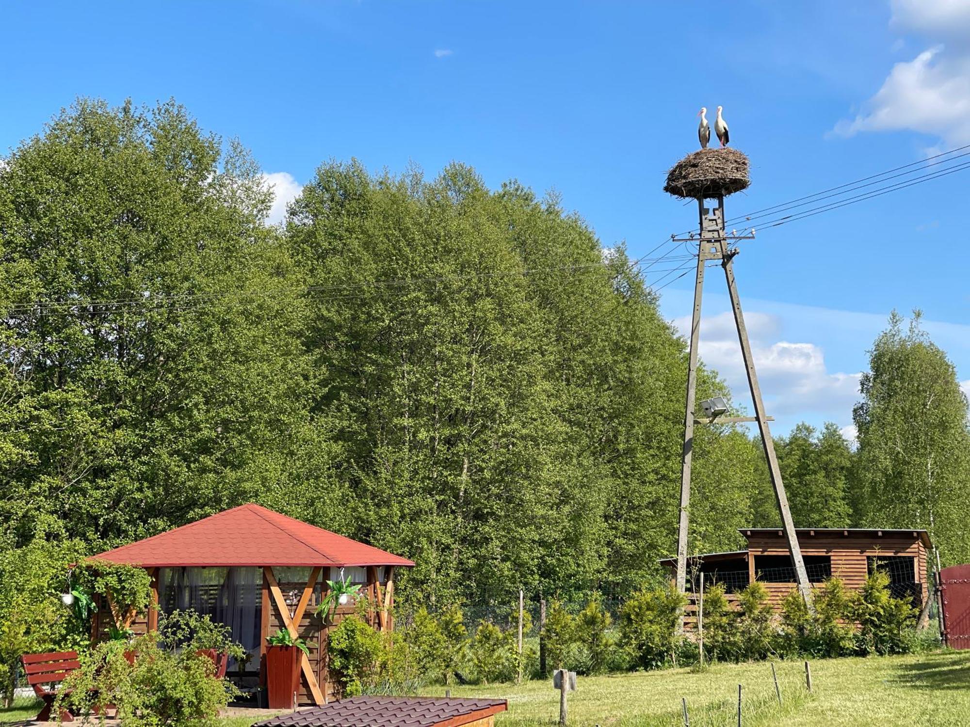 Vila Agro Na Wapniarni Biala  Exteriér fotografie